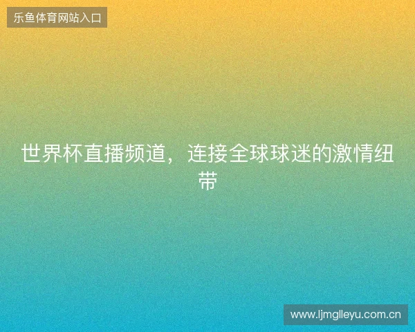 世界杯直播频道，连接全球球迷的激情纽带