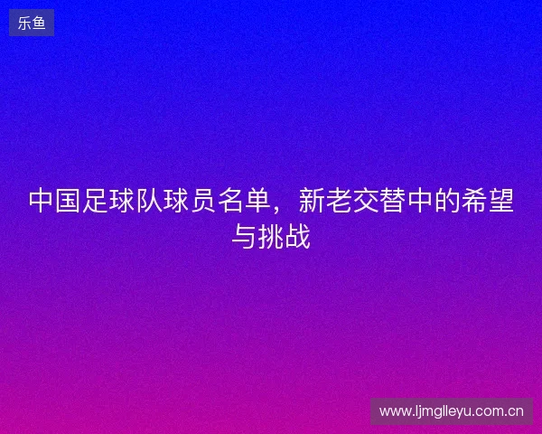 中国足球队球员名单，新老交替中的希望与挑战